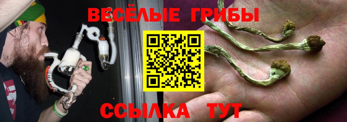 Новокубанск  купить наркоту  Вход с VPN  Галлюциногенные грибы Cubensis 